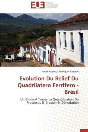 Evolution Du Relief Du Quadrilatero Ferrifero - Bresil: Une Voie Pour Le Developpement Durable de André Augusto Rodrigues Salgado