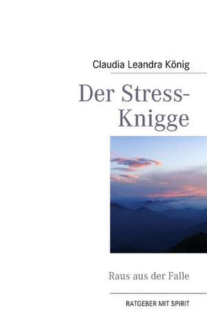 Der Stress-Knigge de Claudia Leandra König