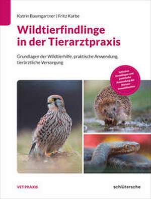 Wildtierfindlinge in der Tierarztpraxis de Katrin Baumgartner