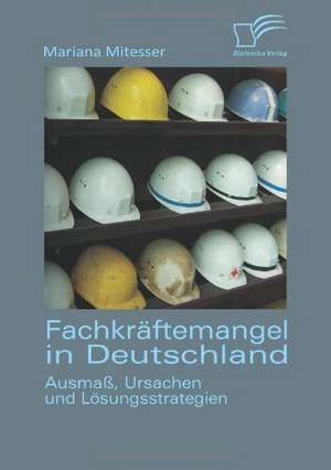 Fachkraftemangel in Deutschland: Ausmass, Ursachen Und Losungsstrategien de Mariana Mitesser