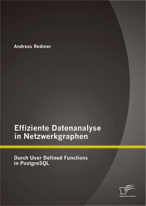 Effiziente Datenanalyse in Netzwerkgraphen: Durch User Defined Functions in PostgreSQL de Andreas Redmer