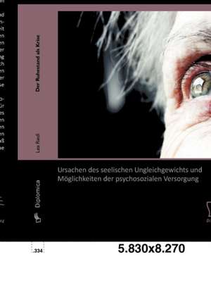 Der Ruhestand ALS Krise: Ursachen Des Seelischen Ungleichgewichts Und M Glichkeiten Der Psychosozialen Versorgung de Lea Riedl