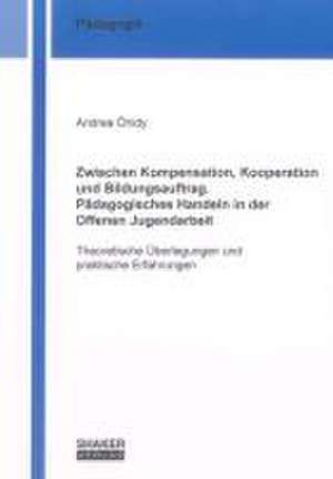 Zwischen Kompensation, Kooperation und Bildungsauftrag. Pädagogisches Handeln in der Offenen Jugendarbeit de Andrea Óhidy