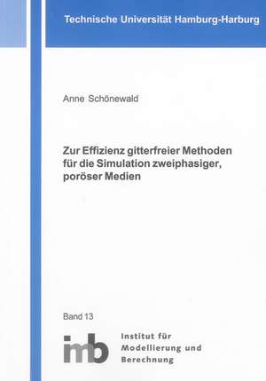 Zur Effizienz gitterfreier Methoden für die Simulation zweiphasiger, poröser Medien de Anne Schönewald