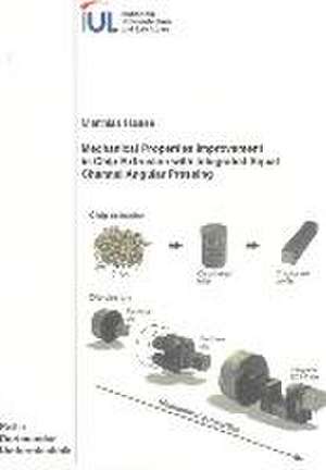 Mechanical Properties Improvement in Chip Extrusion with Integrated Equal Channel Angular Pressing de Matthias Haase