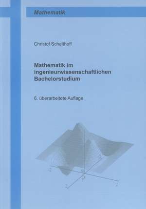 Mathematik im ingenieurwissenschaftlichen Bachelorstudium de Christof Schelthoff