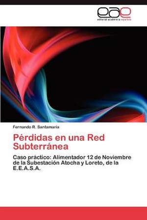 Perdidas En Una Red Subterranea