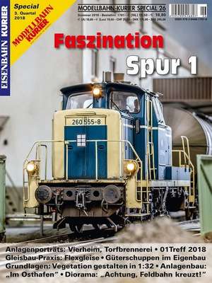 Faszination Spur 1 - Teil 8