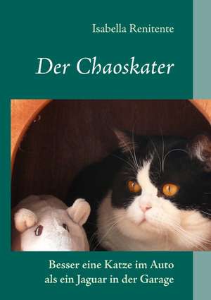 Der Chaoskater de Isabella Renitente