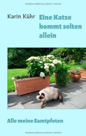 Eine Katze kommt selten allein de Karin Kühr