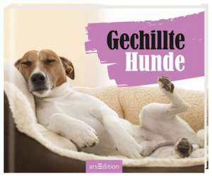 Gechillte Hunde de Paulus Vennebusch