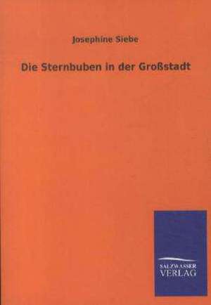 Die Sternbuben in der Großstadt de Josephine Siebe