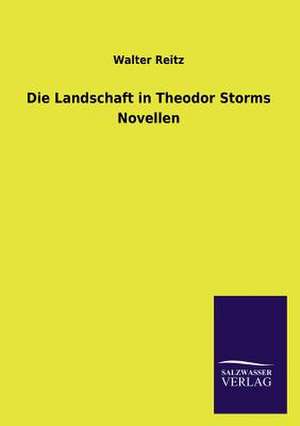 Die Landschaft in Theodor Storms Novellen de Walter Reitz