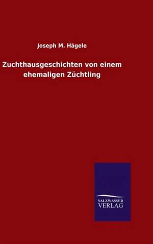 Zuchthausgeschichten Von Einem Ehemaligen Zuchtling: Magdeburg de Joseph M. Hägele