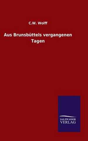 Aus Brunsbuttels Vergangenen Tagen: Mit Ungedruckten Briefen, Gedichten Und Einer Autobiographie Geibels de C. W. Wolff