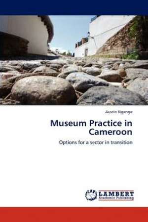 Museum Practice in Cameroon de Austin Ngenge