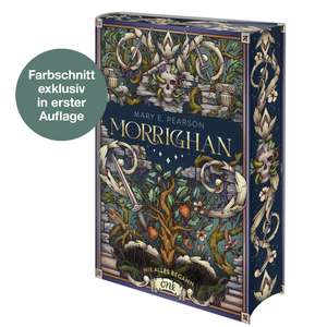 Morrighan - Wie alles begann de Mary E. Pearson