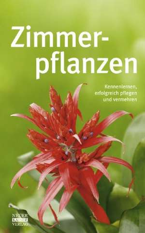 Zimmerpflanzen