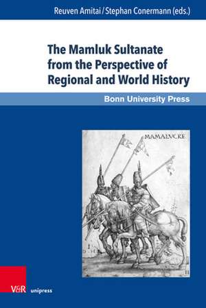 The Mamluk Sultanate from the Perspective of Regional and World History de Reuven Amitai