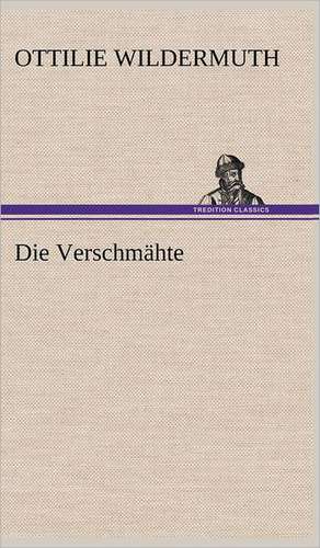 Die Verschmahte: Erzahlung in Neun Briefen de Ottilie Wildermuth