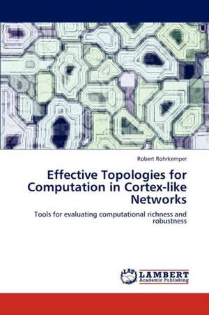 Effective Topologies for Computation in Cortex-like Networks de Robert Rohrkemper