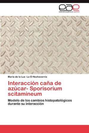 Interaccion Cana de Azucar- Sporisorium Scitamineum: Cultivo de Condrocitos Auriculares de María de la Luz La O Hechavarría