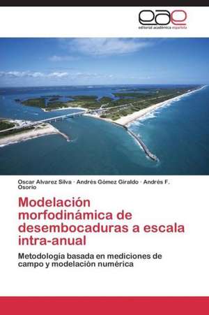 Modelación morfodinámica de desembocaduras a escala intra-anual de Oscar Alvarez Silva