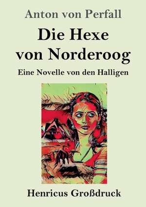 Die Hexe von Norderoog (Großdruck) de Anton von Perfall