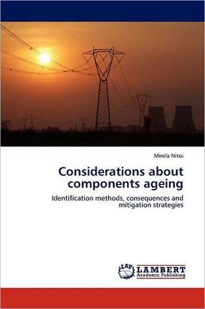 Considerations about components ageing de Mirela Nitoi