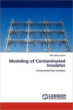 Modeling of Contaminated Insulator de Md. Abdus Salam