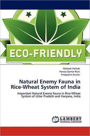 Natural Enemy Fauna in Rice-Wheat System of India de Mahesh Pathak