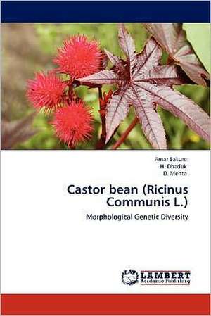 Castor bean (Ricinus Communis L.) de Amar Sakure