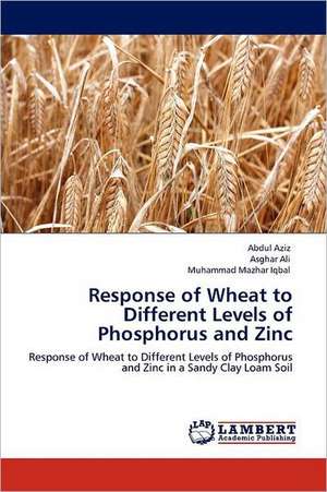 Response of Wheat to Different Levels of Phosphorus and Zinc de Abdul Aziz