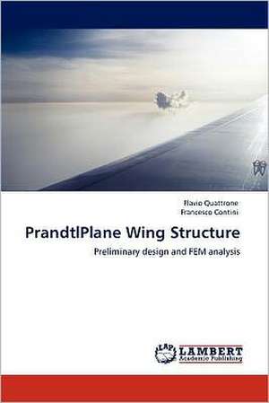 PrandtlPlane Wing Structure de Flavio Quattrone