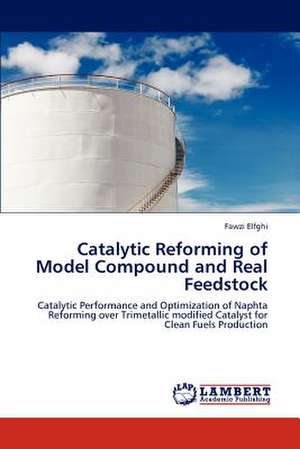 Catalytic Reforming of Model Compound and Real Feedstock de Fawzi Elfghi