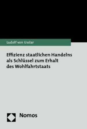 Effizienz staatlichen Handelns als Schlüssel zum Erhalt des Wohlfahrtstaats de Ludolf von Usslar