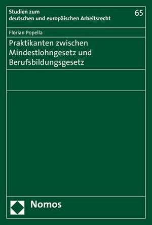 Praktikanten zwischen Mindestlohngesetz und Berufsbildungsgesetz de Florian Popella