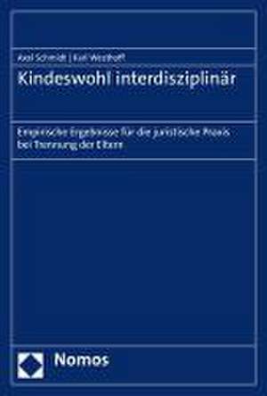 Kindeswohl interdisziplinär de Axel Schmidt