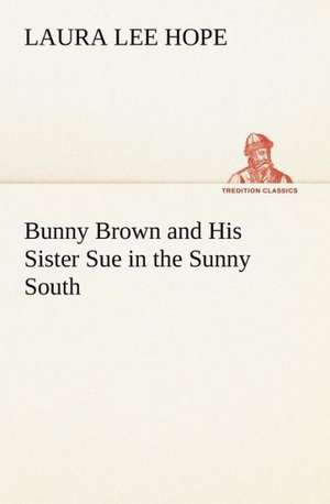 Bunny Brown and His Sister Sue in the Sunny South de Laura Lee Hope