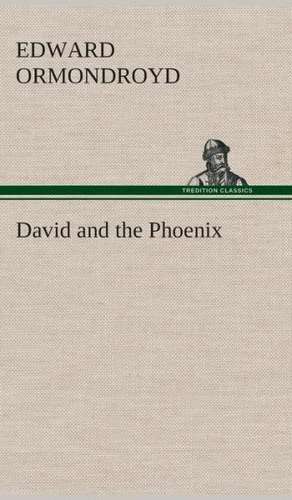 David and the Phoenix de Edward Ormondroyd
