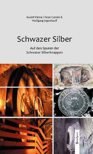 Schwazer Silber de Rudolf Palme