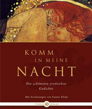 Komm in meine Nacht de Johannes Thiele