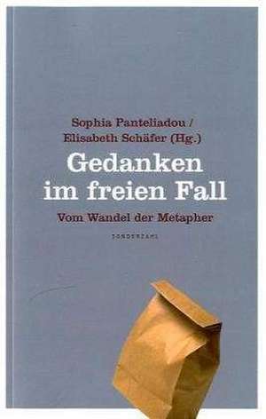 Gedanken im freien Fall de Sophia Panteliadou