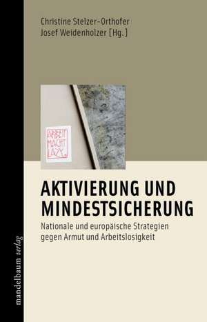 Aktivierung und Mindestsicherung de Christine Stelzer-Orthofer