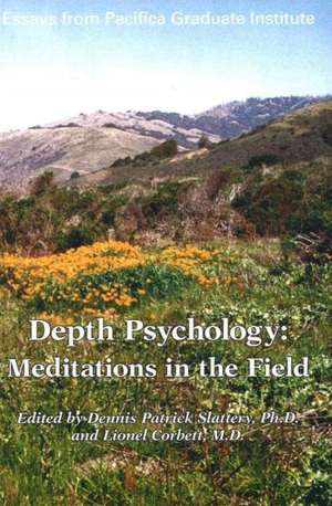 Depth Psychology, 2nd Edition: Meditations in the Field de Dennis Patrick Slattery PhD