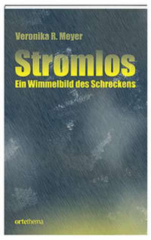 Stromlos de Veronika R. Meyer
