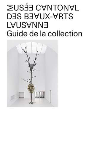 Musée Cantonal des Beaux-Arts de Lausanne: Guide to the Collection de Musée Cantonal Des Beaux-Arts De Lausanne Musée Cantonal Des Beaux-Arts De Lausanne