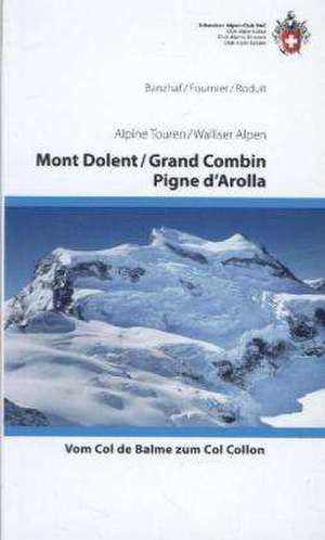 Alpine Touren Mont Dolent, Grand Co