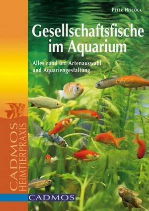 Gesellschaftsfische im Aquarium de Peter Hiscock