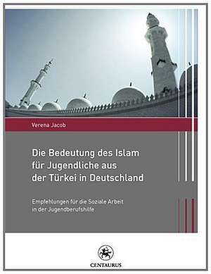 Die Bedeutung des Islam für Jugendliche aus der Türkei in Deutschland: Empfehlungen für die Soziale Arbeit in der Jugendberufshilfe de Verena Jacob